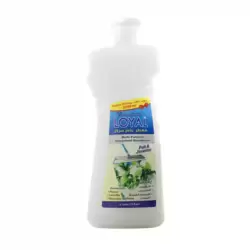 Loyal Multi-Purpose Deodorizer, Concentrated With The Fragrance Of Full And Jasmine- 2100ml