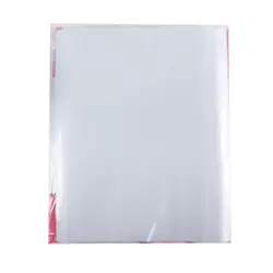 East Chi Sheet Protectors with Multi-Punched Holes, A4 Size- 100 Pages