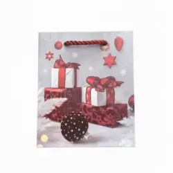 Christmas Gift Bag With Red Gift Box Printed And Strong Twisted Rope Handle- 12pcs Pack