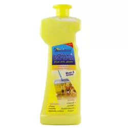 Loyal Multi-Purpose Household Deodorizer Gel Musk and Amber-700ml