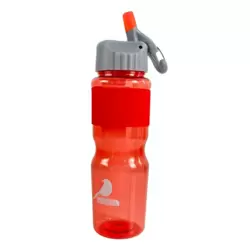 Clear Transparent BPA Free Leak Proof Water Bottle With Straw And Infuser 700ml- Red