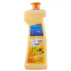 Loyal Multi-Purpose Household Deodorizer Gel Tropical Fruits-700ml