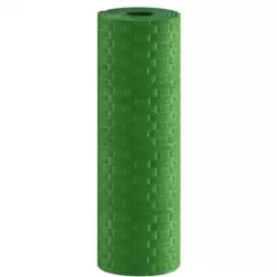 Eco Friendly Perfect Grip Alignment Eva Yoga Mat With Comfort Foam And Anti Tear- Green