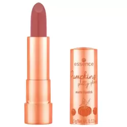 Essence Pumpkin Pretty Please Matte Lipstick 3.5gms- 01 Sweeter Than Pumpkin Pie